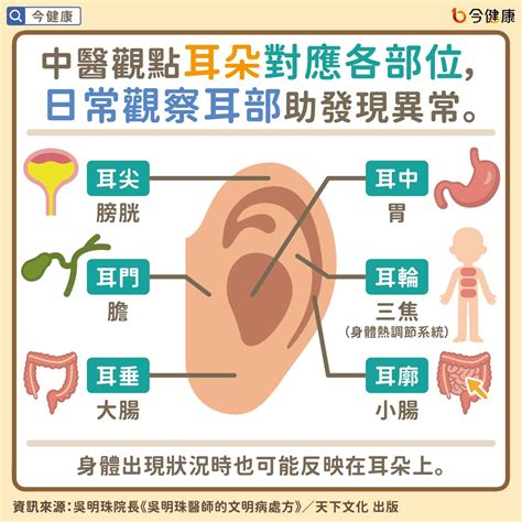 耳朵萎縮|從耳朵看健康